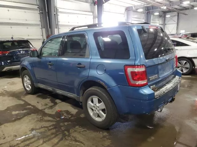 2009 Ford Escape XLT