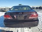 2005 Lexus ES 330