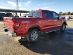 2024 Ford F150 XLT