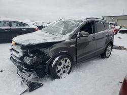 2013 Ford Escape SEL en venta en Wayland, MI