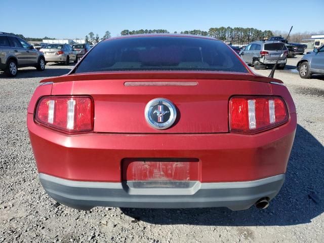 2010 Ford Mustang