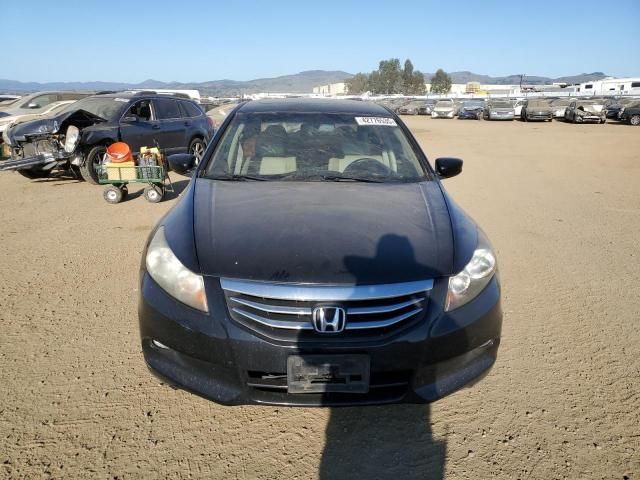 2011 Honda Accord EXL