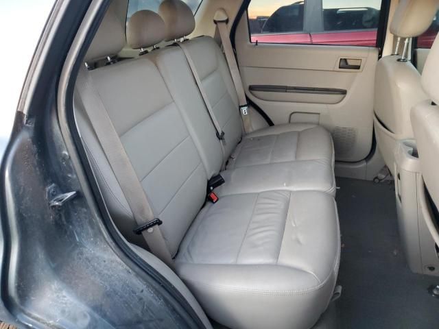 2008 Ford Escape XLT