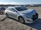 2013 Hyundai Sonata Hybrid