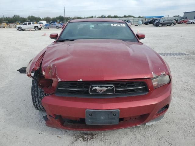 2011 Ford Mustang