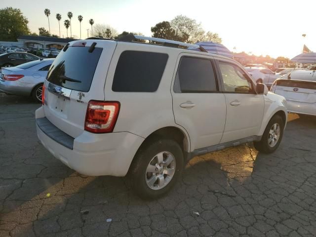 2009 Ford Escape Limited