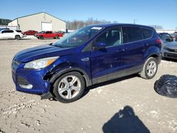 Salvage cars for sale at Lawrenceburg, KY auction: 2015 Ford Escape SE