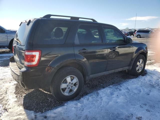 2011 Ford Escape XLT