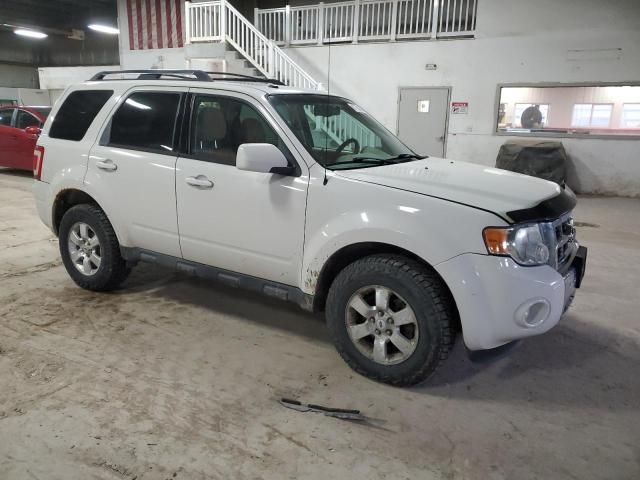 2009 Ford Escape Limited