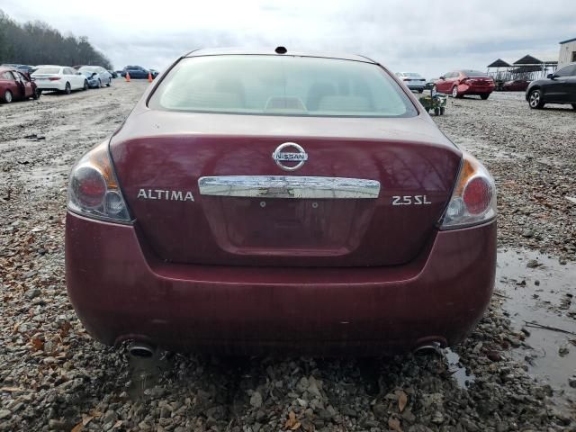 2010 Nissan Altima Base