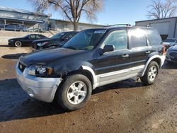 Salvage cars for sale at Albuquerque, NM auction: 2007 Ford Escape XLT