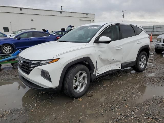 2024 Hyundai Tucson SE