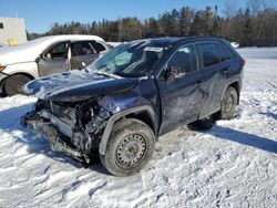 Salvage cars for sale at Cookstown, ON auction: 2024 Toyota Rav4 XLE