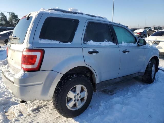 2009 Ford Escape XLT