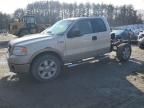 2006 Ford F150