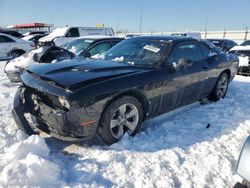 Salvage cars for sale at auction: 2016 Dodge Challenger SXT