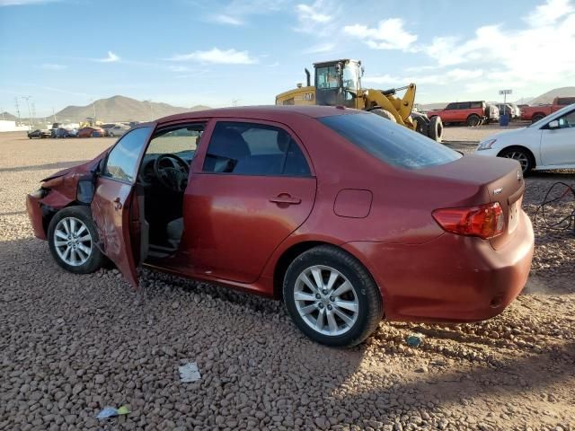 2010 Toyota Corolla Base