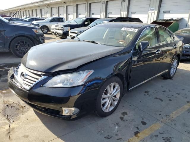 2010 Lexus ES 350