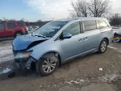 Salvage cars for sale at Baltimore, MD auction: 2014 Honda Odyssey EXL