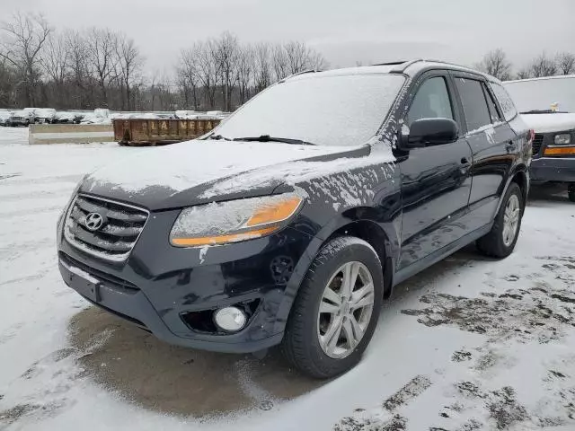 2010 Hyundai Santa FE SE