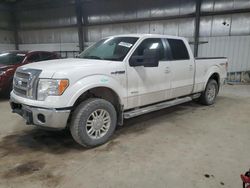 Salvage SUVs for sale at auction: 2011 Ford F150 Supercrew