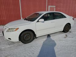 Salvage cars for sale from Copart London, ON: 2007 Toyota Camry CE