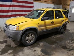 4 X 4 for sale at auction: 2001 Ford Escape XLT