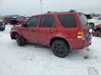 2007 Ford Escape Limited