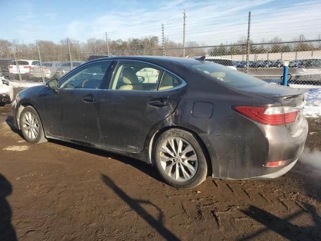 2014 Lexus ES 300H