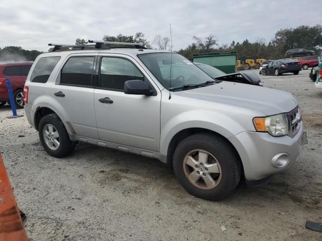 2009 Ford Escape XLT