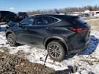 2022 Lexus NX 350