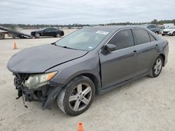 Salvage cars for sale from Copart Houston, TX: 2013 Toyota Camry L