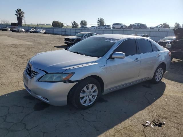 2009 Toyota Camry Hybrid