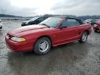 1996 Ford Mustang