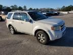 2010 Ford Escape Limited