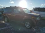 2006 Honda Element EX