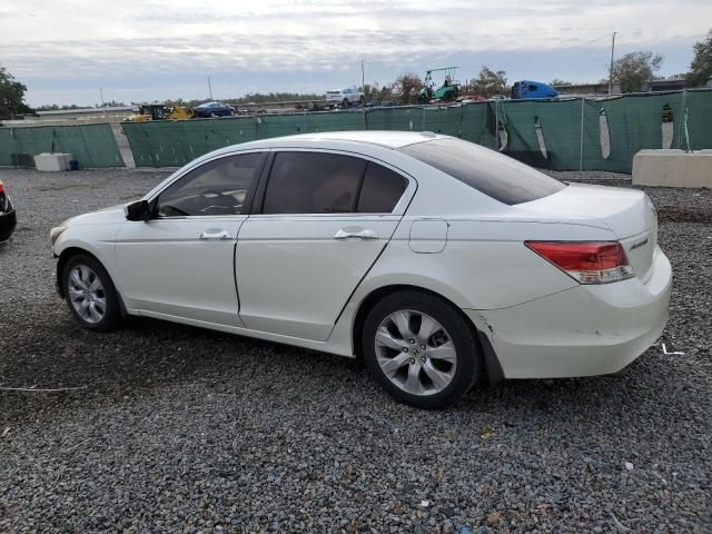 2010 Honda Accord EXL