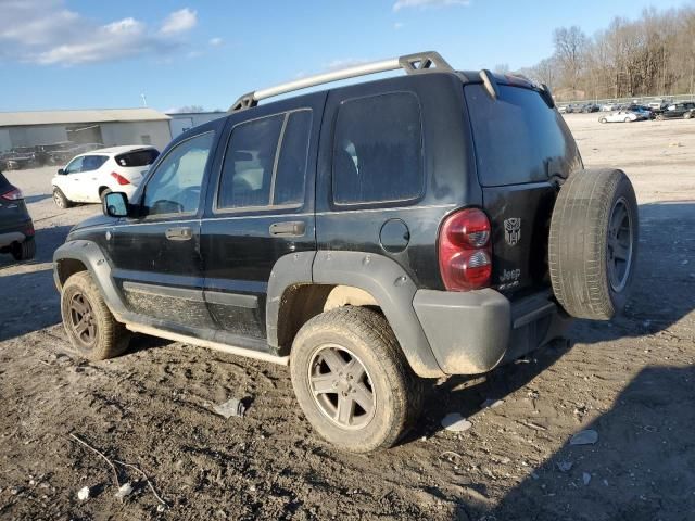 2005 Jeep Liberty Renegade