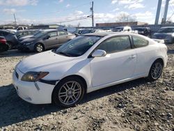 Salvage cars for sale at Windsor, NJ auction: 2008 Scion TC