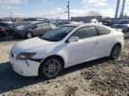 2008 Scion TC