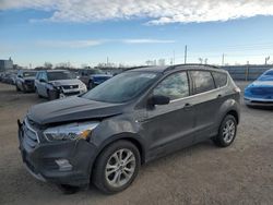 Ford Vehiculos salvage en venta: 2017 Ford Escape SE