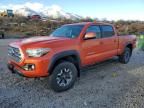 2017 Toyota Tacoma Double Cab