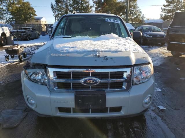 2009 Ford Escape XLT