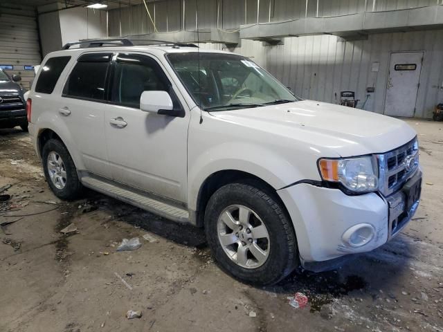 2010 Ford Escape Limited