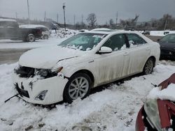 Salvage cars for sale from Copart Bridgeton, MO: 2014 Toyota Camry Hybrid