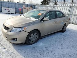 Salvage cars for sale from Copart Ontario Auction, ON: 2009 Toyota Corolla Base