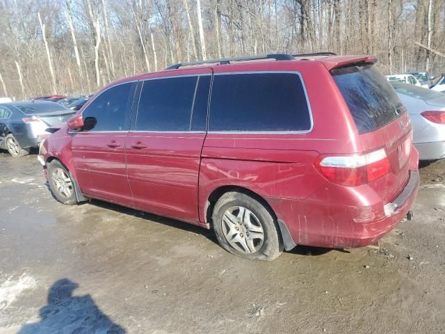 2005 Honda Odyssey EXL