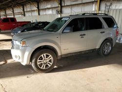 2008 Ford Escape XLT en venta en Phoenix, AZ