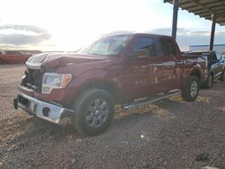 2013 Ford F150 Supercrew en venta en Phoenix, AZ