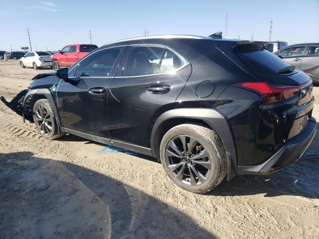 2019 Lexus UX 200